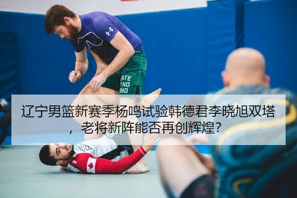 辽宁男篮新赛季杨鸣试验韩德君李晓旭双塔，老将新阵能否再创辉煌？